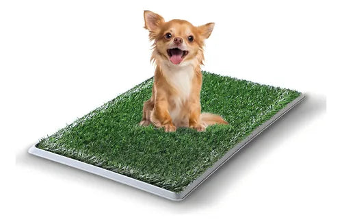 Tapete Entrenador de Pasto Para Perro
