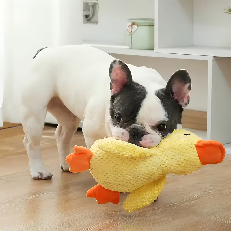 Juguete de peluche súper grande y duradero de pato para perro con chirrido
